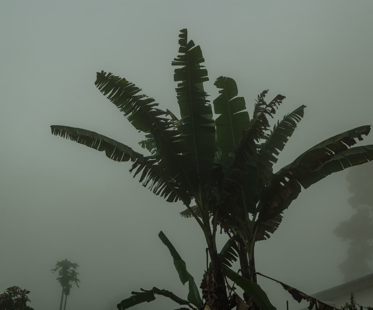 Превью Sri Lanka 2022